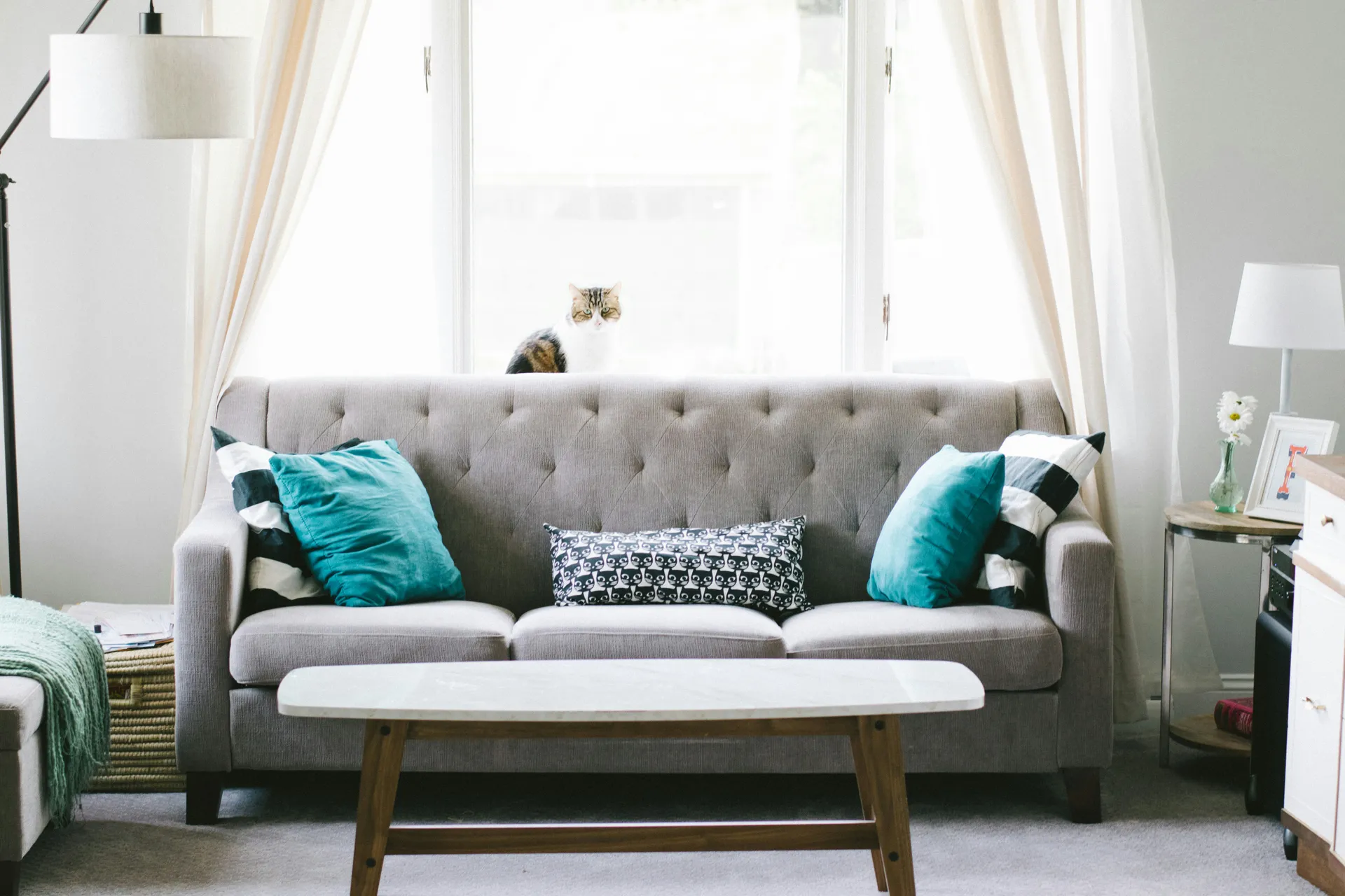 Professional Cleaning Services in The Mat-Su Valley
